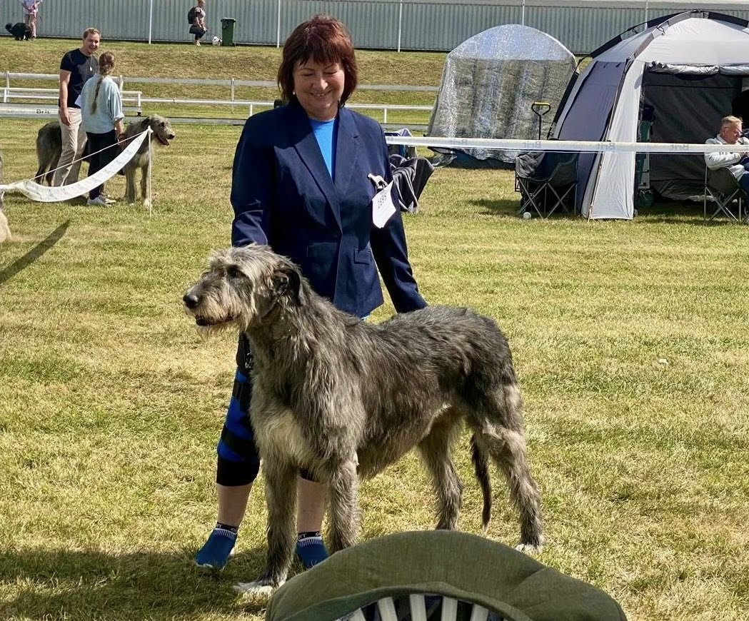 Really Irish Haute Couture Really Irish Haute Couture