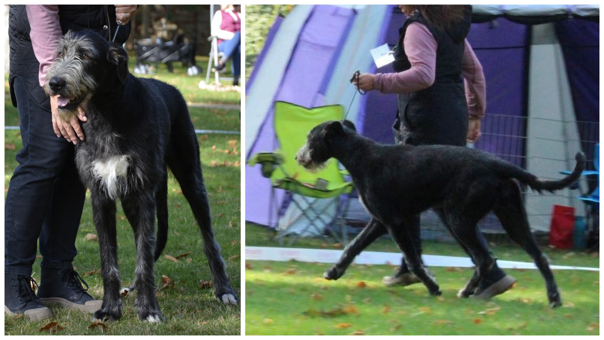 Isadora Really Irish Isadora Really Irish